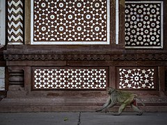 Façade d'un bâtiment de Fatehpur Sikri