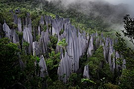 Gunung Mulu, Bornéo