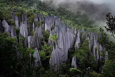 Formasi karst yang terletak di dekat puncak Gunung Api di Taman Nasional Gunung Mulu, Malaysia