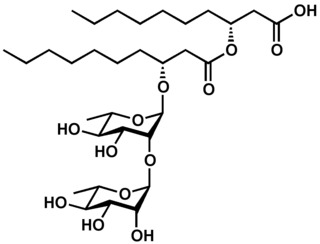 <span class="mw-page-title-main">Rhamnolipid</span> Chemical compound