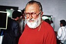 Sergio Leone -  Bild