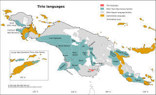 <span class="mw-page-title-main">Tirio languages</span> Family of Trans–New Guinea languages