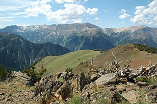 <span class="mw-page-title-main">Wallowa–Whitman National Forest</span> United States national forest in Oregon