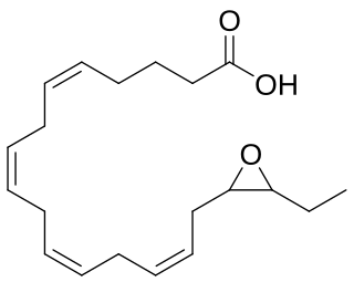 <span class="mw-page-title-main">Epoxyeicosatetraenoic acid</span> Chemical compound