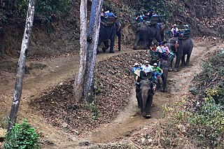 <span class="mw-page-title-main">Alaungdaw Kathapa National Park</span> National park in Myanmar