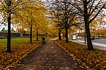 Thumbnail for File:Alan Turing Way - geograph.org.uk - 4208929.jpg