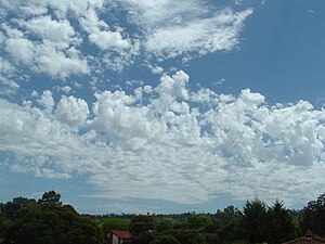 塔状高積雲