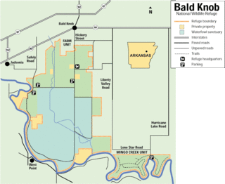 <span class="mw-page-title-main">Bald Knob National Wildlife Refuge</span> Wildlife refuge located in White County, Arkansas