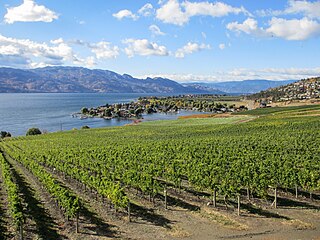 <span class="mw-page-title-main">Okanagan</span> Region of British Columbia, Canada