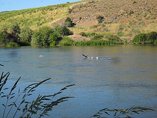 <span class="mw-page-title-main">Link River</span> Short river in southern Oregon, United States