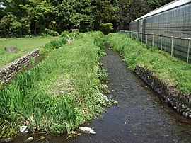 矢川おんだし