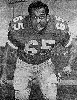 <span class="mw-page-title-main">Manny Fernandez (American football)</span> American football player (born 1946)