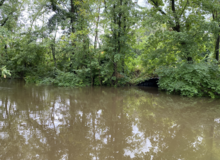 Brown water floods a black pedestrian tunnel. Leafy trees form the backdrop.