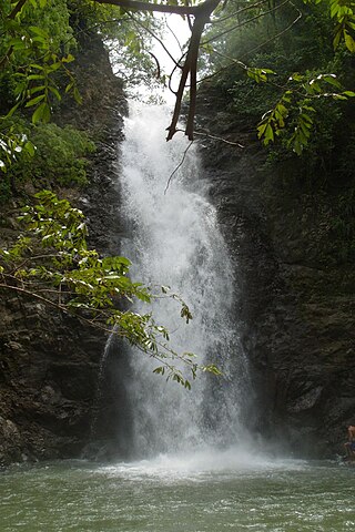 <span class="mw-page-title-main">Montezuma Falls</span> Waterfall in Tasmania, Australia