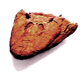 Tiktaalik skull.