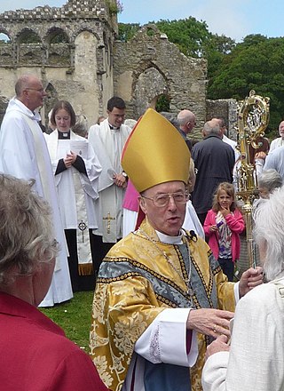 <span class="mw-page-title-main">Wyn Evans</span> British bishop