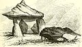 Mynydd Cefn Amlwch (of Coetan Arthur) afgebeeld in An archaelogical index to remains of antiquity of the Celtic, Romano-British, and Anglo-Saxon periods, 1847