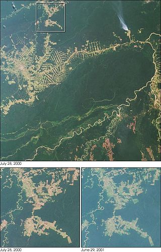 <span class="mw-page-title-main">Deforestation in Brazil</span>