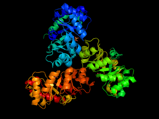 <span class="mw-page-title-main">2-Dehydro-3-deoxy-phosphogluconate aldolase</span> Class of enzymes