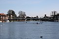 Rowers on the Thames at Marlow