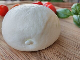 <i>Pasta filata</i> Technique in the manufacture of a family of Italian cheeses