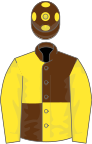 Brown and yellow (quartered), yellow sleeves, brown cap, yellow spots