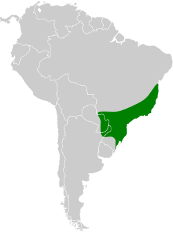 Distribución geográfica del pájaro-campana.