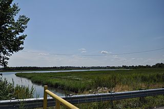 Rumney Marsh Reservation