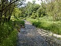 La Serava au nord de la ville.