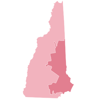 <span class="mw-page-title-main">2010 United States House of Representatives elections in New Hampshire</span>