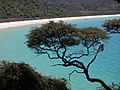 8 février 2007 Abel Tasman Park, Nouvelle-Zélande