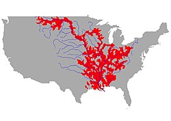 Mapa de distribución del pez espátula americano superpuesto con un mapa de los principales ríos de la cuenca del Mississippi.