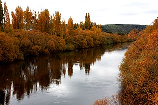 <span class="mw-page-title-main">Ecology of Tasmania</span>