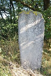 Statue-menhir de la Borie des Paulets (copie)