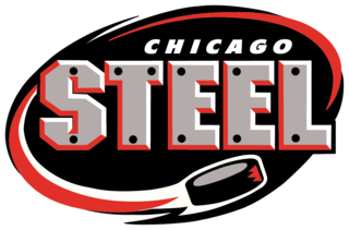 <span class="mw-page-title-main">Chicago Steel</span> United States Hockey League team