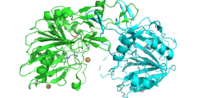 Glycoprotein DNase II 3D structure PDB: 5UNB DNase II.png