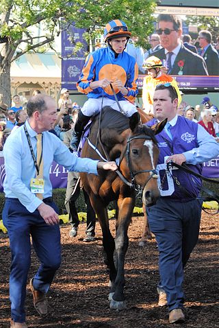 <span class="mw-page-title-main">Found (horse)</span> Irish Thoroughbred racehorse