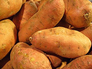 <span class="mw-page-title-main">Sweet potato</span> Species of edible plant