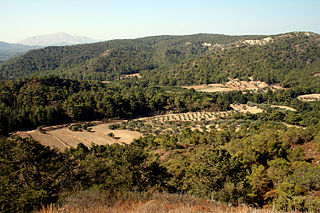 <span class="mw-page-title-main">Natural history of Rhodes</span>