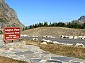 Der Logan Pass