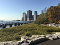 Brooklyn Bridge Park