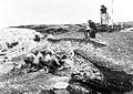 Image 82Excavation of the Ertebølle middens in 1880 (from Atlantic Ocean)