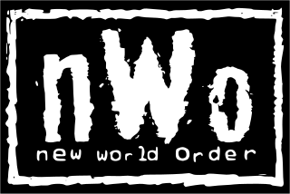 <span class="mw-page-title-main">New World Order (professional wrestling)</span> Professional wrestling stable