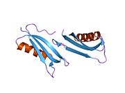 PDB 2fkl EBI.jpg