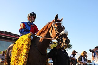 <span class="mw-page-title-main">Swiss Skydiver</span> American thoroughbred racehorse