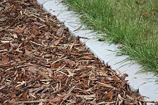 <span class="mw-page-title-main">Mulch</span> Layer of material applied to the surface of soil