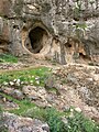 Image 1Skhul Cave (from History of Israel)