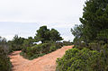 * Nomination Trails in the garrigue. Commune of Pinet, Hérault, France. --Christian Ferrer 11:39, 10 May 2013 (UTC) * Decline Too blurry toward the left and right edges, sorry --Kreuzschnabel 09:33, 18 May 2013 (UTC)