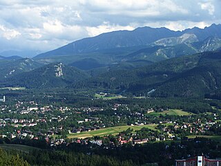 <span class="mw-page-title-main">Zakopane</span> Place in Lesser Poland Voivodeship, Poland