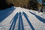 A hibernal family walk